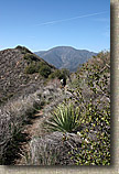 Photo from along the Bell Ridge Trail