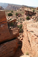 Amasa Back in Moab
